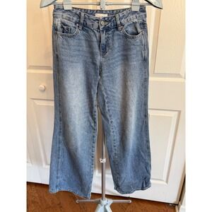 PacSun Low Rise Baggy Jeans Light Wash‎ Denim Size 24